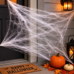 Stretchable Spider Web with Spider